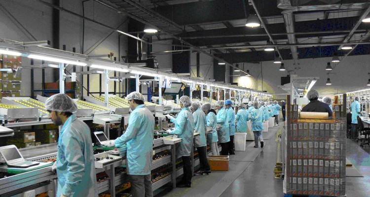 En Argentina empresas prevén recortar 3.800 empleos 1 1355 8 CCCC